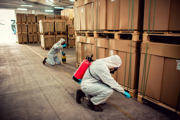 Flea Control Services in Ocala, FL