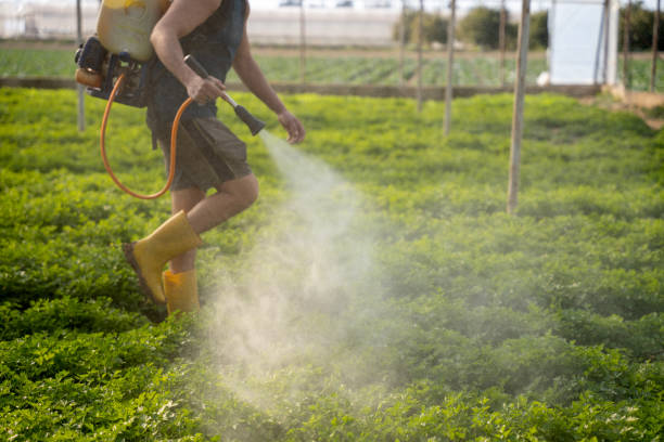 Best Wildlife Control Services  in Ocala, FL