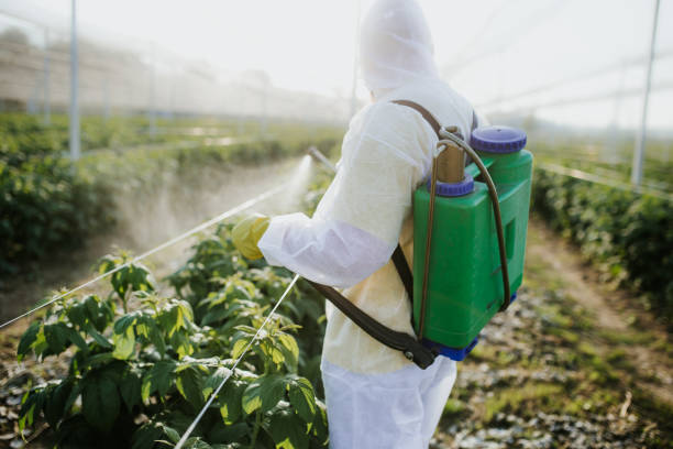 Best Pest Removal Services  in Ocala, FL